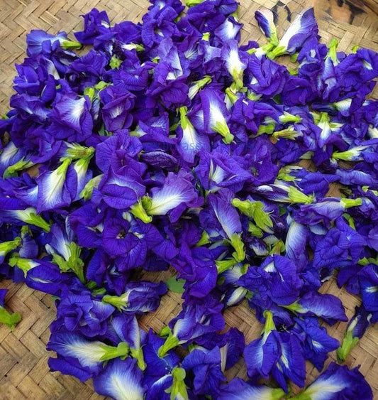 Pure Organic Blue Butterfly  Antioxidant Tea 50g