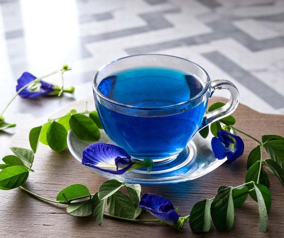 Fresh Organic Blue Butterfly Tea FLOWER
