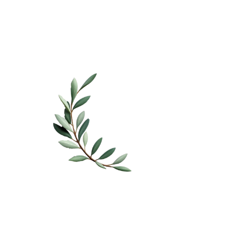 econestorganics.com